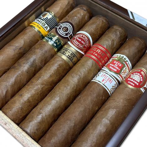 Lot 316 - Seleccion Robustos 