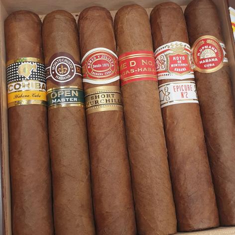 Lot 317 - Seleccion Robustos 