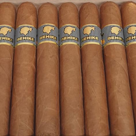 Lot 317 - Cohiba Behike 54