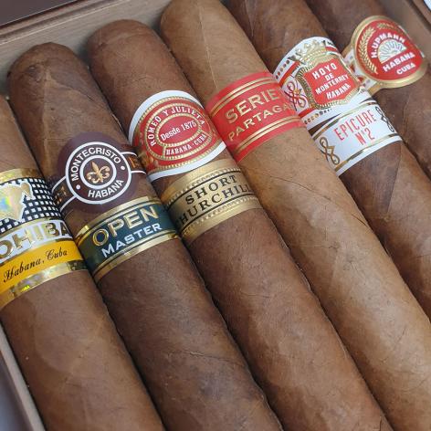 Lot 318 - Seleccion Robustos 