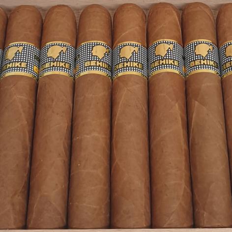 Lot 318 - Cohiba Behike 54