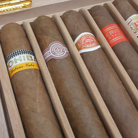 Lot 319 - Seleccion Robustos 