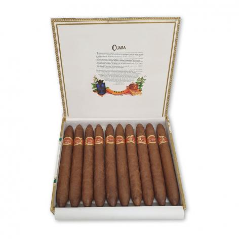Lot 331 - Cuaba Salomones