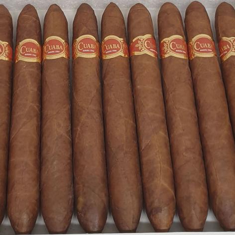 Lot 331 - Cuaba Salomones