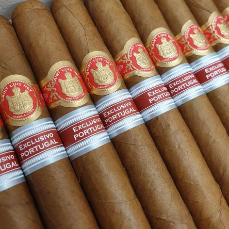 Lot 333 - Saint Luis Rey Adamastor