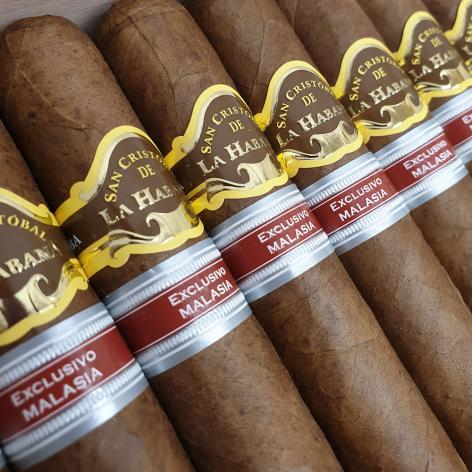 Lot 335 - San Cristobal de la Habana Harimau Malaya