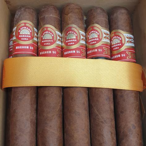 Lot 338 - H. Upmann Magnum 56
