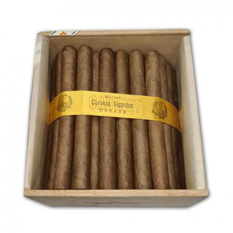 Lot 342 - Bolivar Coronas Gigantes