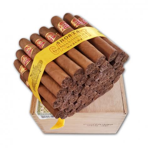 Lot 345 - Partagas Shorts