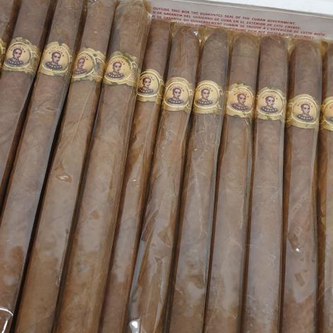 Lot 373 - Bolivar Palmitas 
