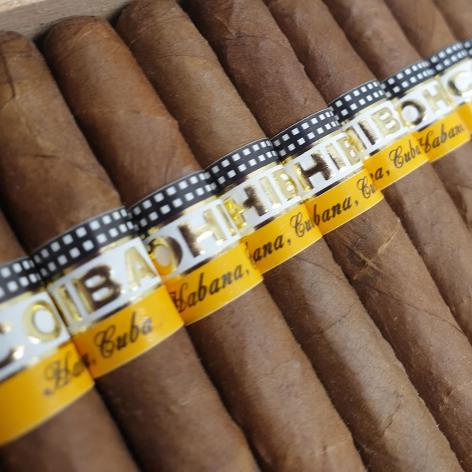 Lot 37 - Cohiba Panetelas