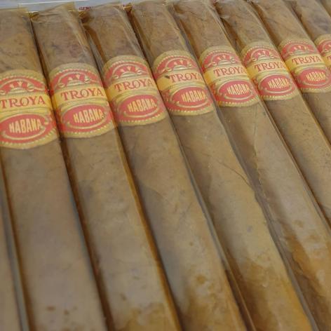 Lot 38 - Troya Universales 