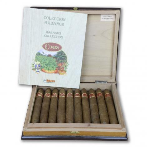 Lot 399 - Cuaba Salamones