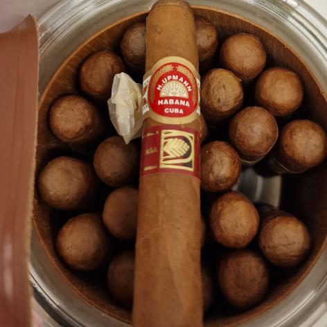 Lot 3 - H. Upmann Noellas