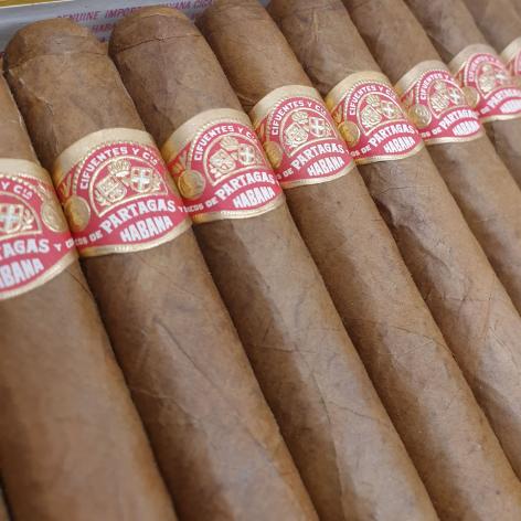 Lot 404 - Partagas Shorts 