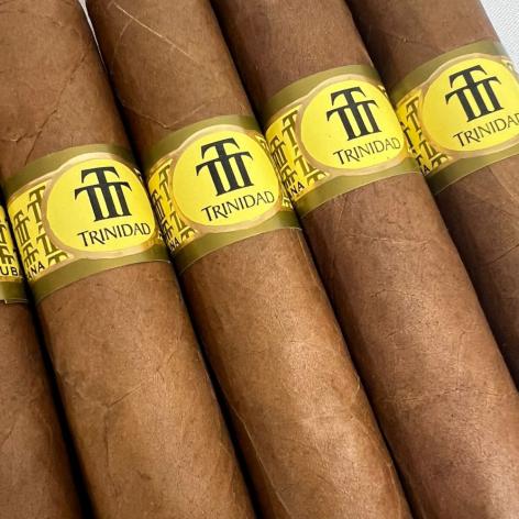 Lot 405 - Trinidad Robusto Extra