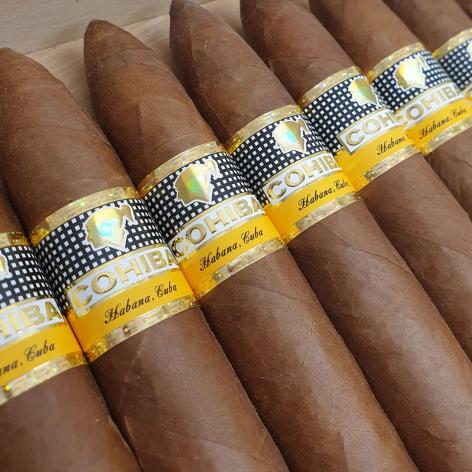Lot 40 - Cohiba Piramides Extra
