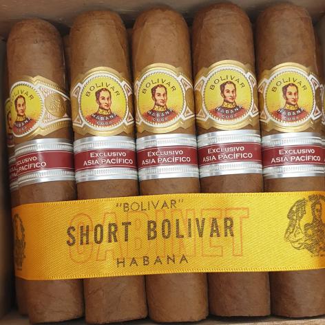 Lot 411 - Bolivar Short Bolivar 