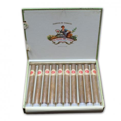 Lot 41 - La Flor de Cano Cristales