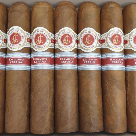 Lot 422 - La Flor de Cano Magicos