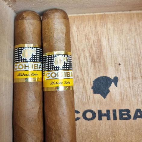 Lot 422 - Cohiba Robustos