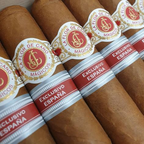 Lot 423 - La Flor de Cano Magicos