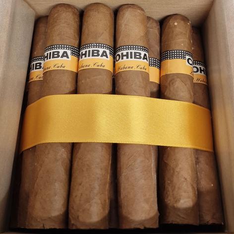Lot 423 - Cohiba Robustos