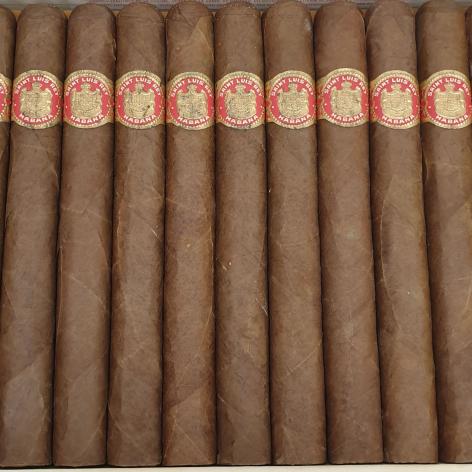 Lot 429 - Saint Luis Rey Coronas Inmensas
