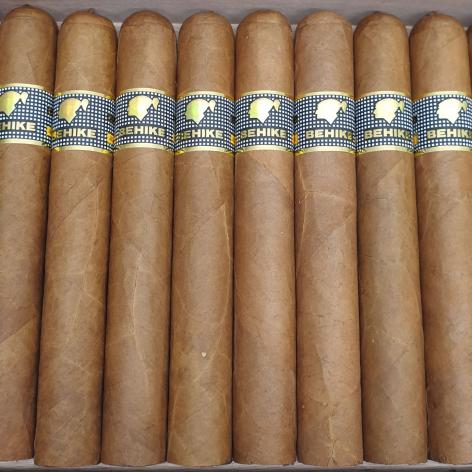 Lot 434 - Cohiba Behike 56