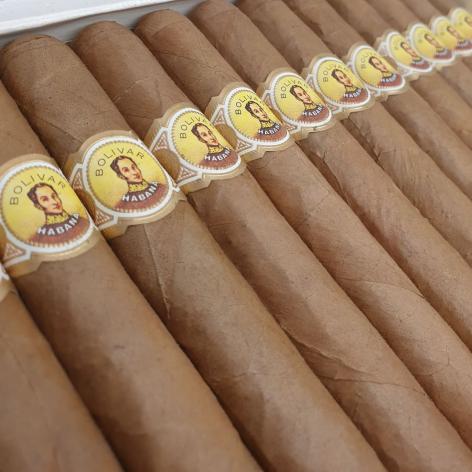 Lot 43 - Bolivar Coronas Gigantes 