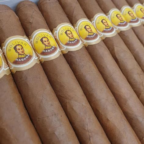 Lot 43 - Bolivar Coronas 