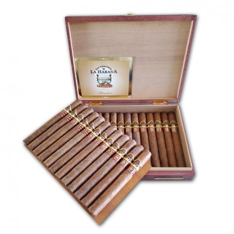 Lot 442 - San Cristobal Mercaderes