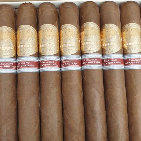 Lot 443 - Por Larranaga Sobresalientes