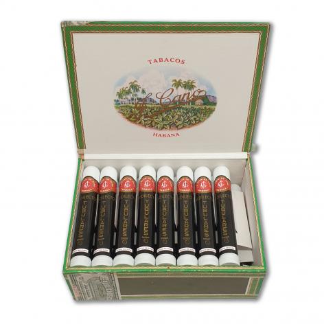 Lot 445 - La Flor de Cano Predilectos Tubulares