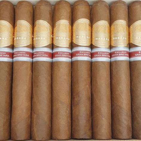 Lot 445 - Por Larranaga Sobresalientes