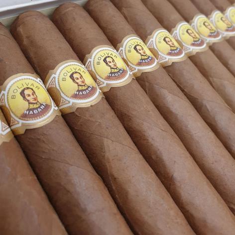 Lot 44 - Bolivar Coronas Gigantes 