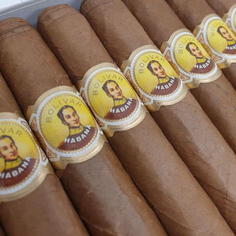Lot 44 - Bolivar Coronas 