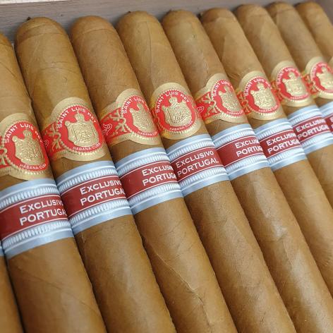 Lot 452 - Saint Luis Rey Adamastor