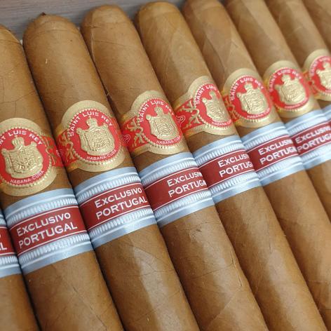 Lot 453 - Saint Luis Rey Adamastor