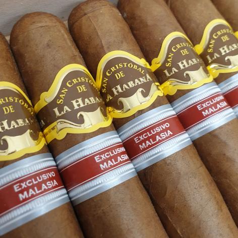 Lot 454 - San Cristobal de la Habana Harimau Malaya