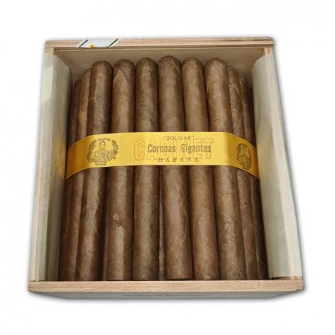 Lot 457 - Bolivar Coronas Gigantes