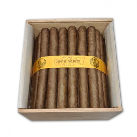 Lot 458 - Bolivar Coronas Gigantes