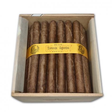 Lot 459 - Bolivar Coronas Gigantes