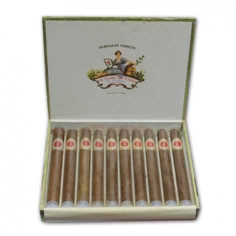 Lot 45 - La Flor de Cano Cristales