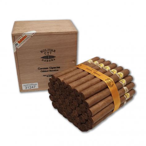 Lot 45 - Bolivar Coronas Gigantes 