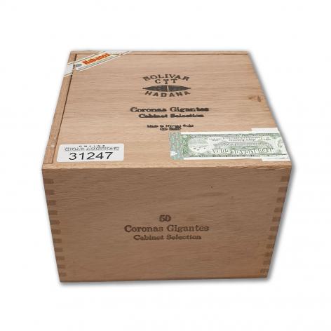 Lot 45 - Bolivar Coronas Gigantes 