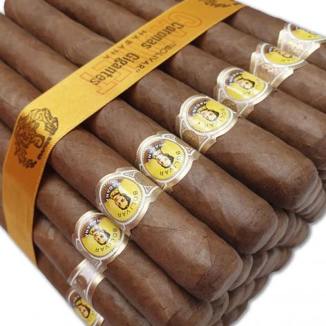 Lot 45 - Bolivar Coronas Gigantes 