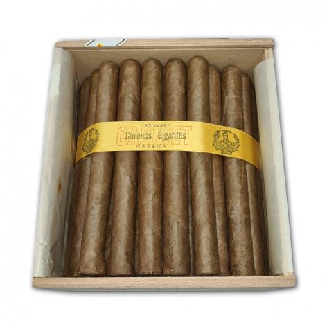 Lot 460 - Bolivar Coronas Gigantes