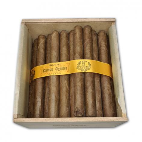 Lot 461 - Bolivar Coronas Gigantes