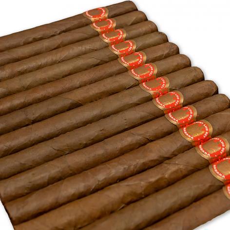 Lot 462 - Saint Luis Rey Churchills